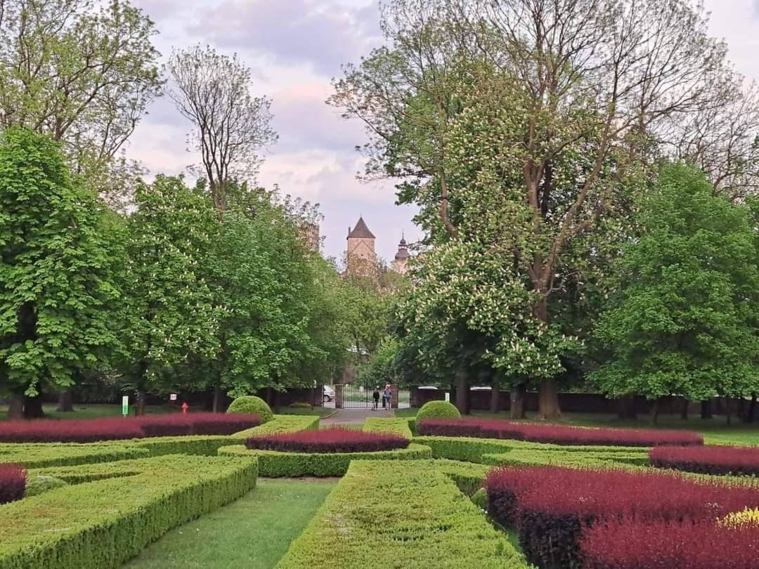 Apartament Zamkowy Będzin Esterno foto